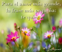 /album/fotogaleria/para-el-amor-jpg/